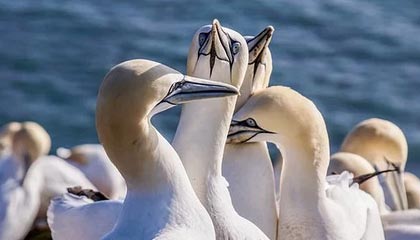 那曲高价上海医保提取2025的最新政策(2025年那曲上海医保怎么提取现金分享)