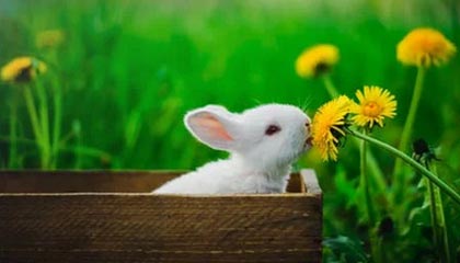 那曲24小时高价回收医保卡的最新政策(2025年那曲24小时高价回收医保卡电话分享)